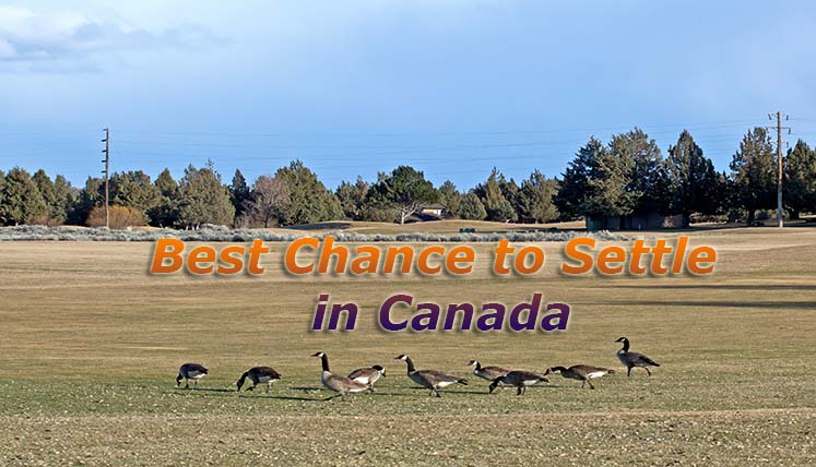 Its the Best Chance to Settle in Canada! Requirement of Eligibility Points is at its lowest
