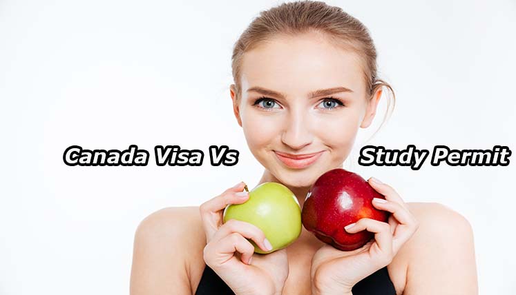 Canadian Visa Vs Study Permit � What is the Difference?