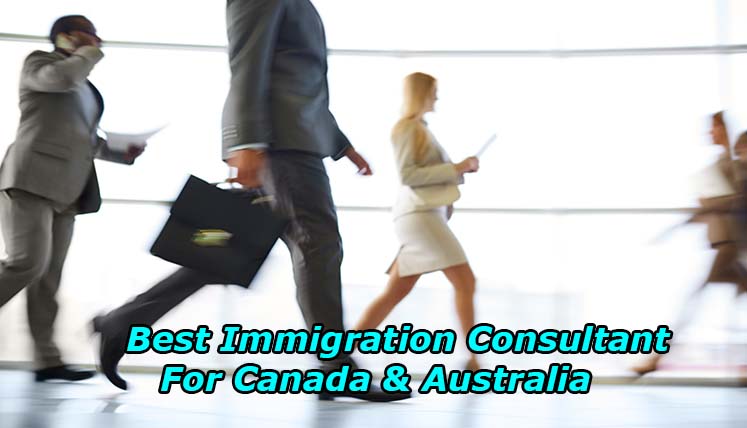 What Makes Visas Avenue the Best Immigration Consultant for Canada & Australia?