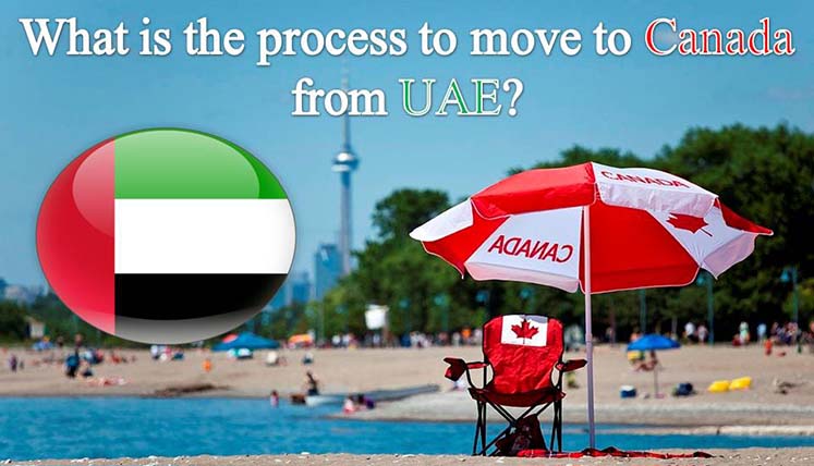 What is the process to move to Canada from UAE? Do you need an Immigration Consultant for it?